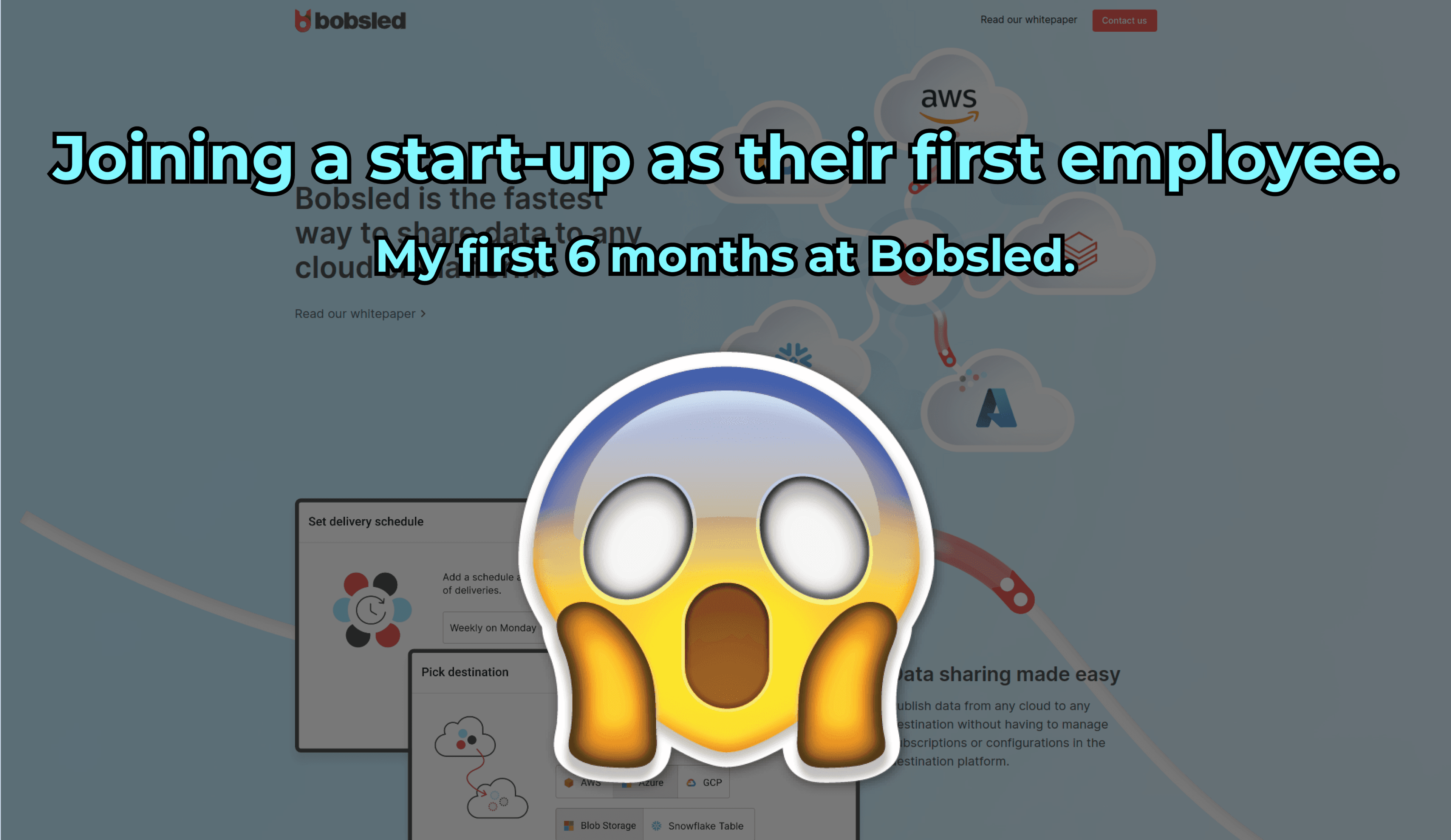 Joining a start-up as their first employee.