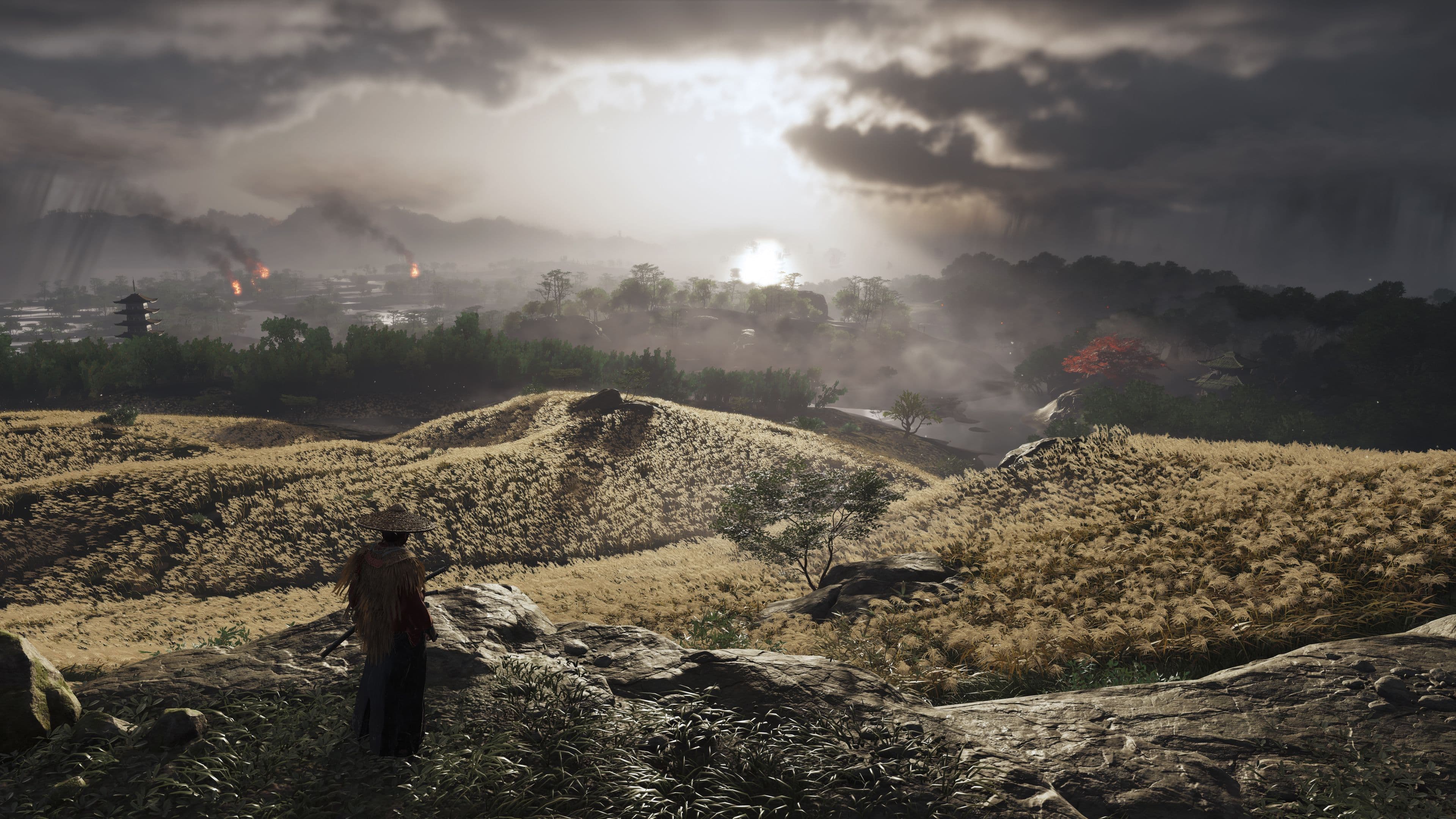 Grass in Ghost of Tsushima